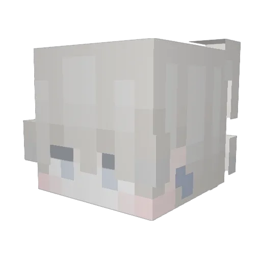 Wanr2004 Minecraft avatar head, 3D render
