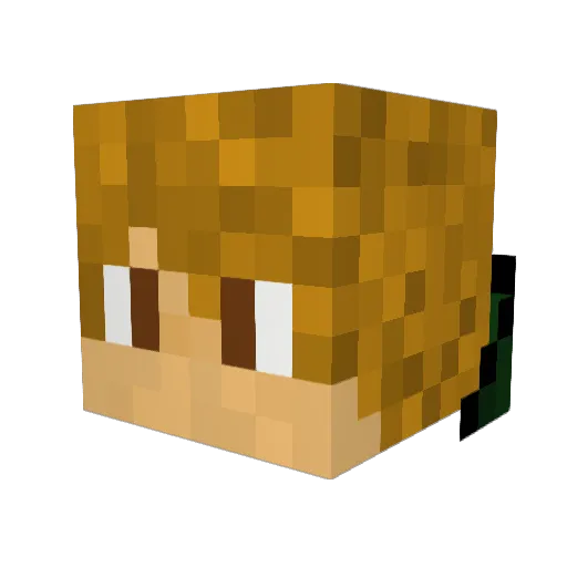 Wansee Minecraft avatar head, 3D render