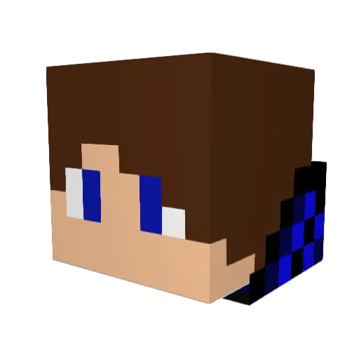 Want2PIay Minecraft avatar head, 3D render