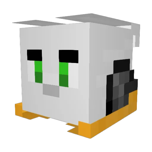 WantSomeCarrot Minecraft avatar head, 3D render
