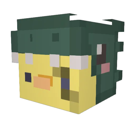 WantedEnaneee Minecraft avatar head, 3D render