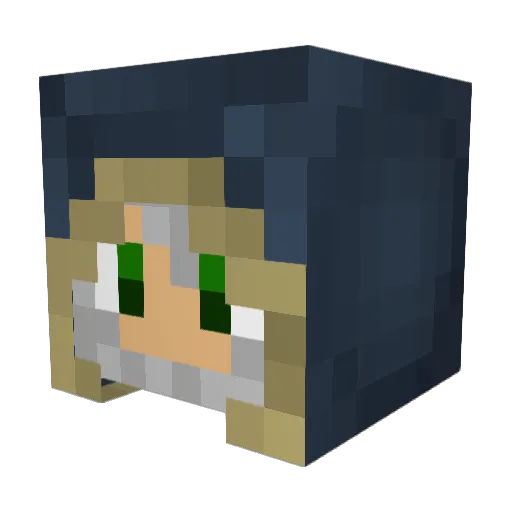 WantedWords Minecraft avatar head, 3D render