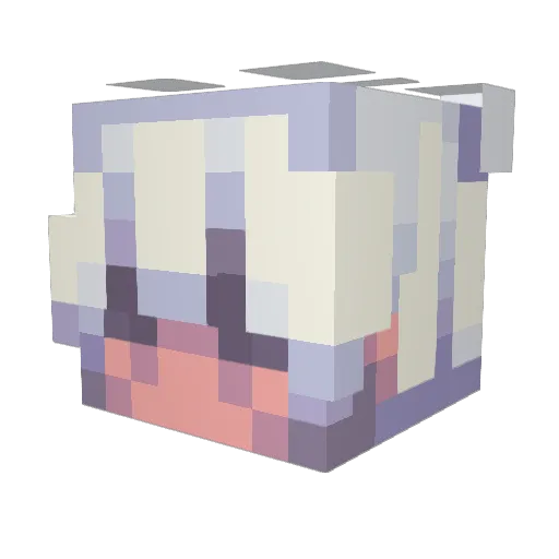 Wanteddd_ Minecraft avatar head, 3D render