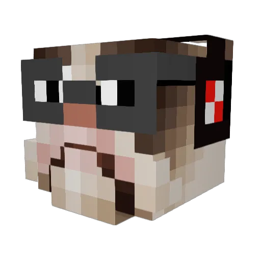 Wanter77 Minecraft avatar head, 3D render