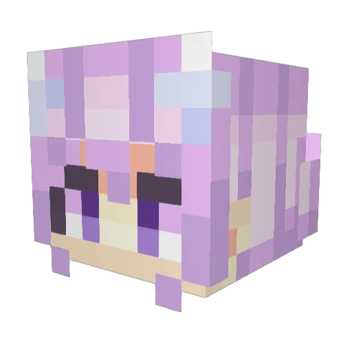 WantsToBeUsed Minecraft avatar head, 3D render