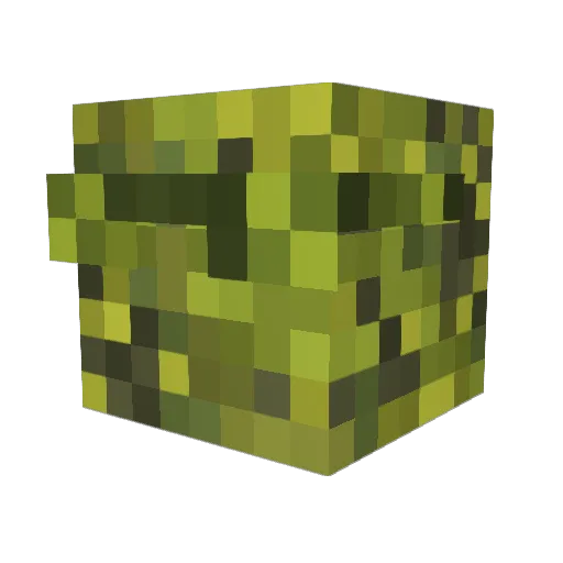 Wanwood Minecraft avatar head, 3D render