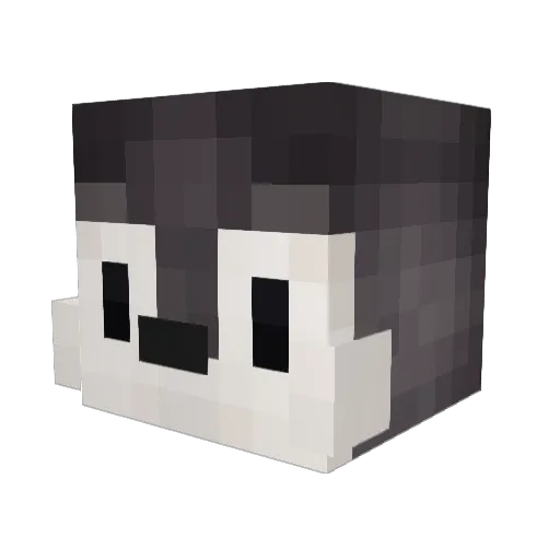 Wanzai Minecraft avatar head, 3D render