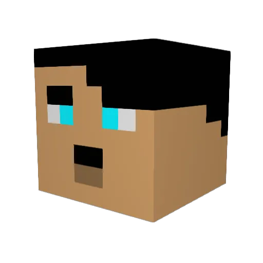 Wapa987 Minecraft avatar head, 3D render
