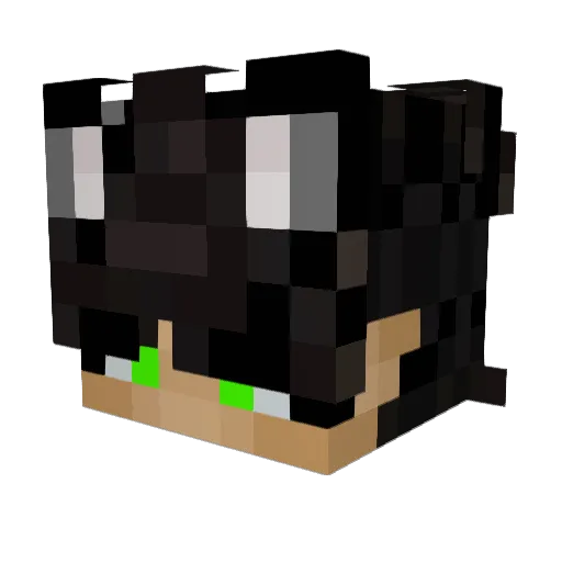 WarCat420 Minecraft avatar head, 3D render