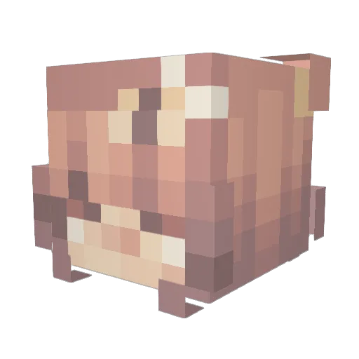 WarDroneX Minecraft avatar head, 3D render