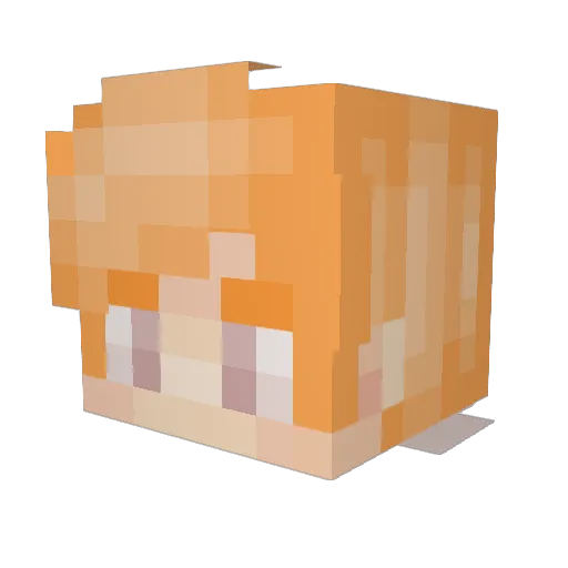 WarKnee Minecraft avatar head, 3D render