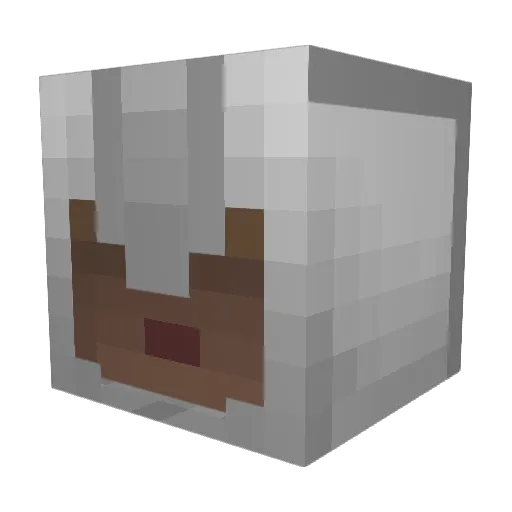WarTillDeath Minecraft avatar head, 3D render