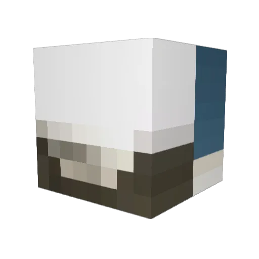 WarTurtle4555 Minecraft avatar head, 3D render