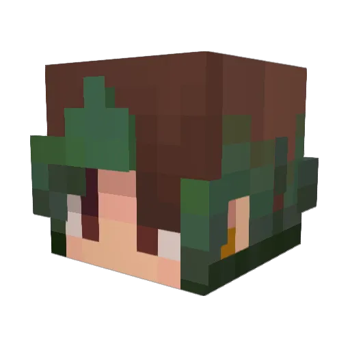 WarWalrus47 Minecraft avatar head, 3D render