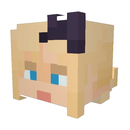 Warainbolt82 Minecraft avatar head, 3D render