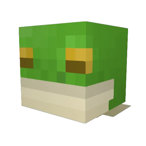 Waraptor44 Minecraft avatar head, 3D render