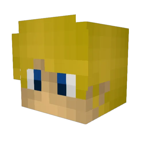 Warayne Minecraft avatar head, 3D render