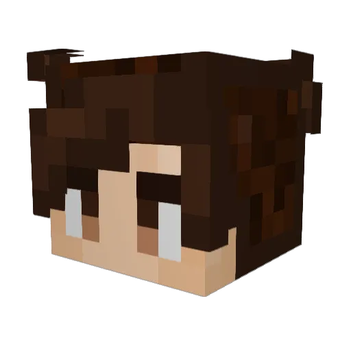 WarbeastSG Minecraft avatar head, 3D render