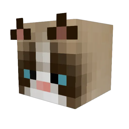 Warcain Minecraft avatar head, 3D render