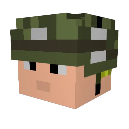 Wardaddy4956 Minecraft avatar head, 3D render
