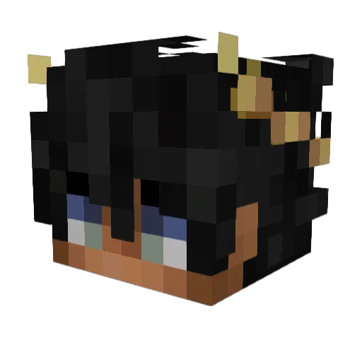 Wardaddy Minecraft avatar head, 3D render