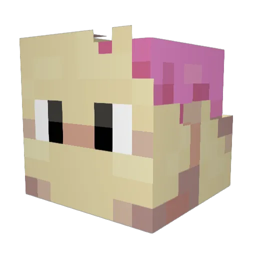 WardedPopcorn65 Minecraft avatar head, 3D render