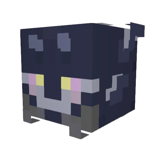 Warden3906 Minecraft avatar head, 3D render