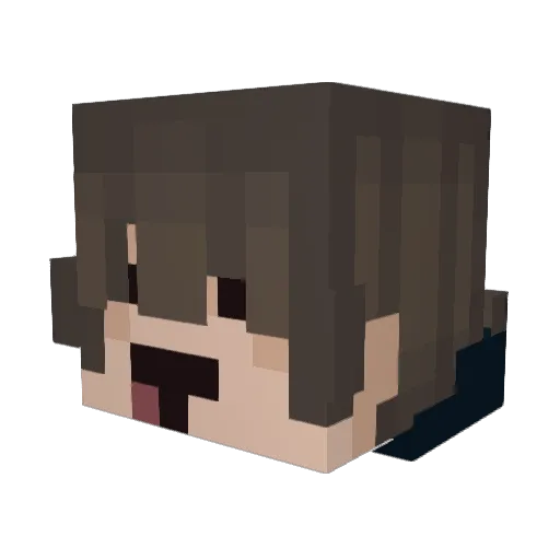 WardenEcho Minecraft avatar head, 3D render