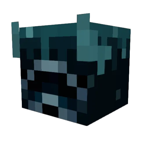 WardenMan1234 Minecraft avatar head, 3D render