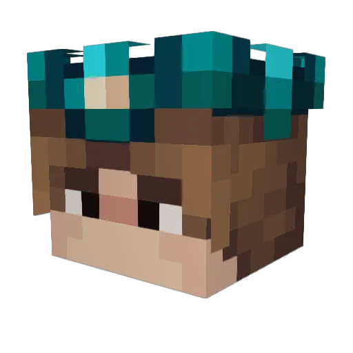 Wardni Minecraft avatar head, 3D render