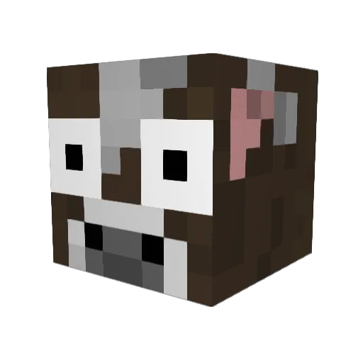 WardsParadox Minecraft avatar head, 3D render