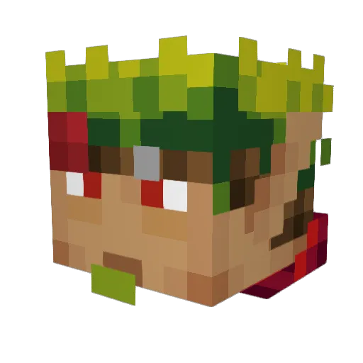 Wardy40 Minecraft avatar head, 3D render