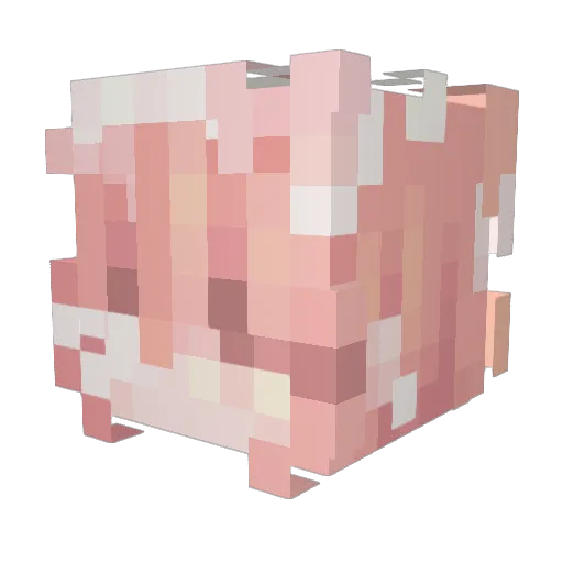 Warebee Minecraft avatar head, 3D render