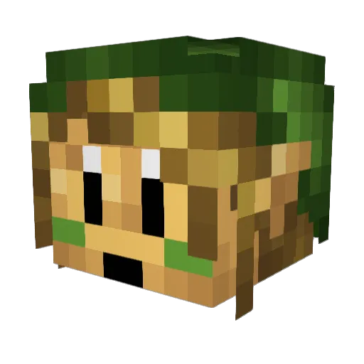 Warhon Minecraft avatar head, 3D render