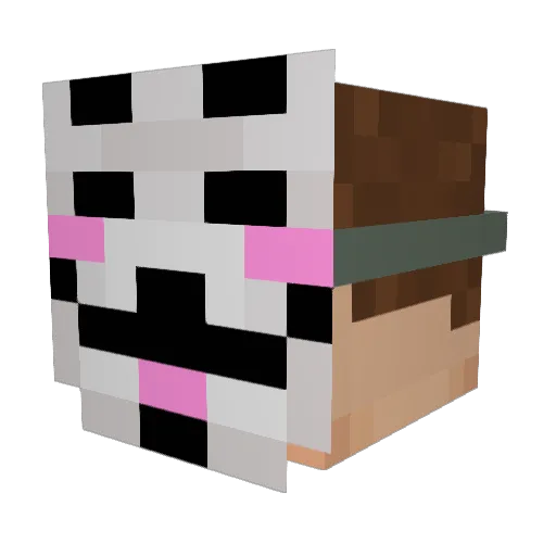 WariatKrol Minecraft avatar head, 3D render