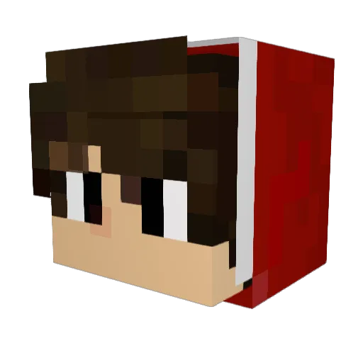 Warix77 Minecraft avatar head, 3D render