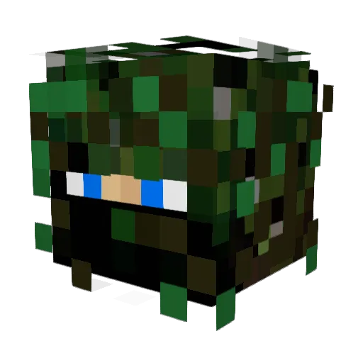 Warksou Minecraft avatar head, 3D render