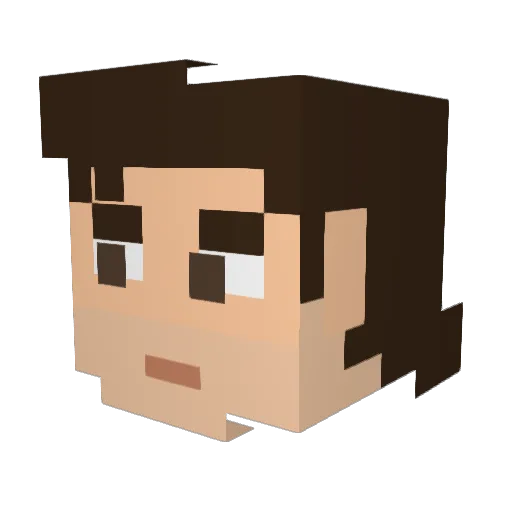Warlock1627 Minecraft avatar head, 3D render