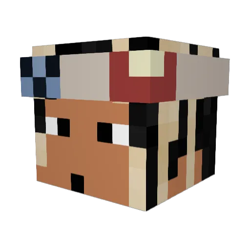 WarmGuineaPig69 Minecraft avatar head, 3D render