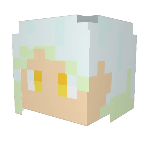 WarmTiger Minecraft avatar head, 3D render