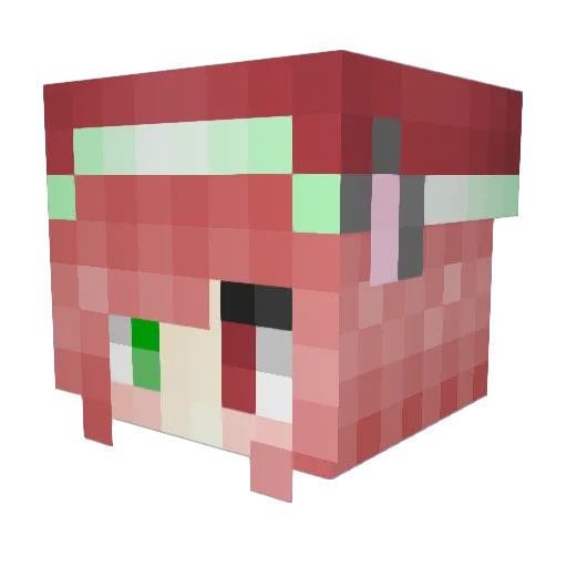 Warm_Icecube Minecraft avatar head, 3D render