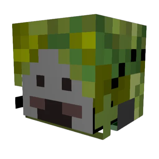Warmanatee Minecraft avatar head, 3D render