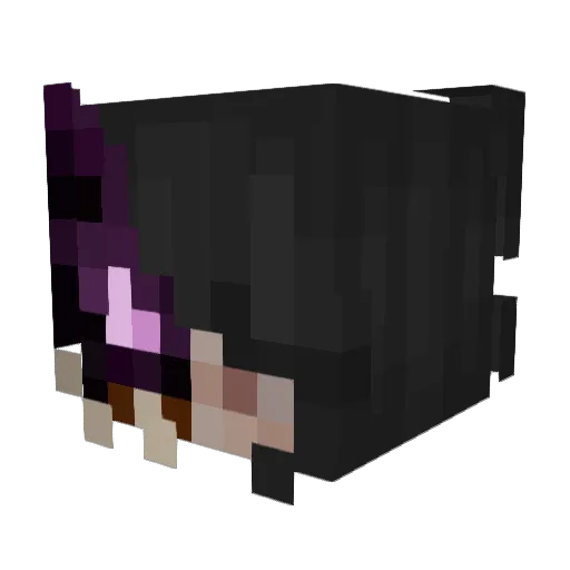 WarmePanoenoe Minecraft avatar head, 3D render