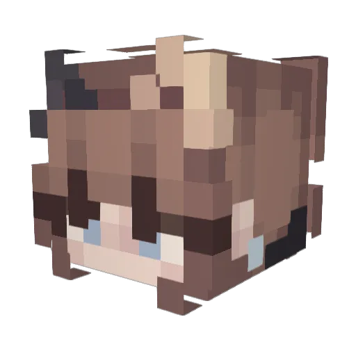 Warme_Orange Minecraft avatar head, 3D render