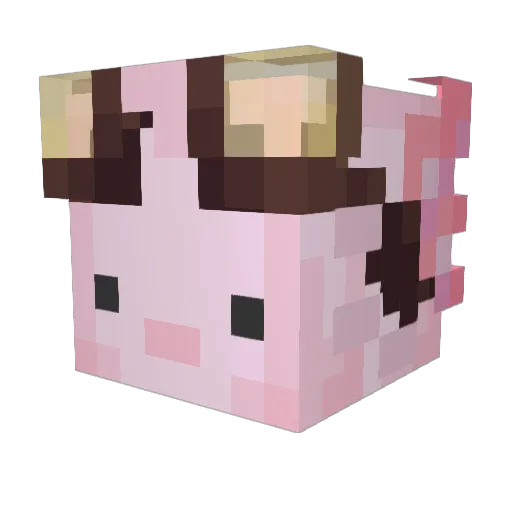Warmoder Minecraft avatar head, 3D render