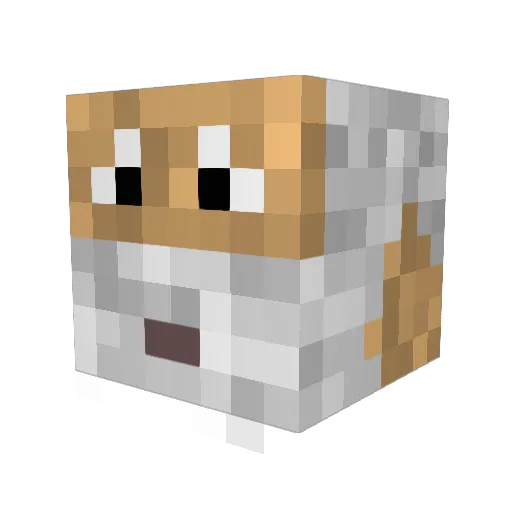 Warmonkey411 Minecraft avatar head, 3D render