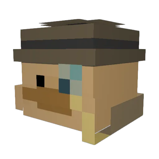 Warmth_91 Minecraft avatar head, 3D render