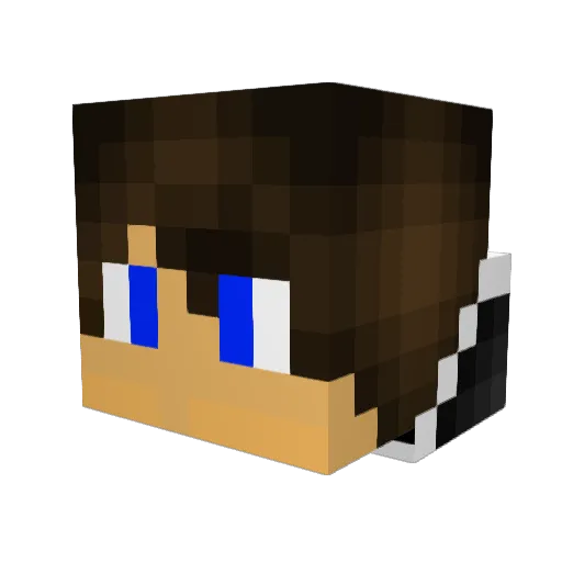 WarnMuteBan Minecraft avatar head, 3D render