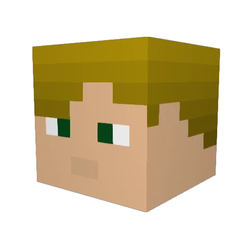 Warnba Minecraft avatar head, 3D render