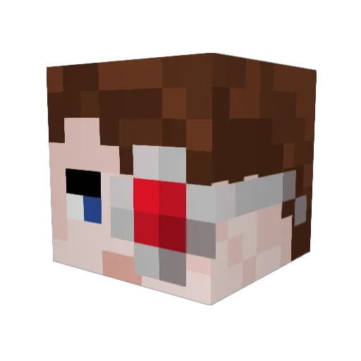 WarnedRogue Minecraft avatar head, 3D render